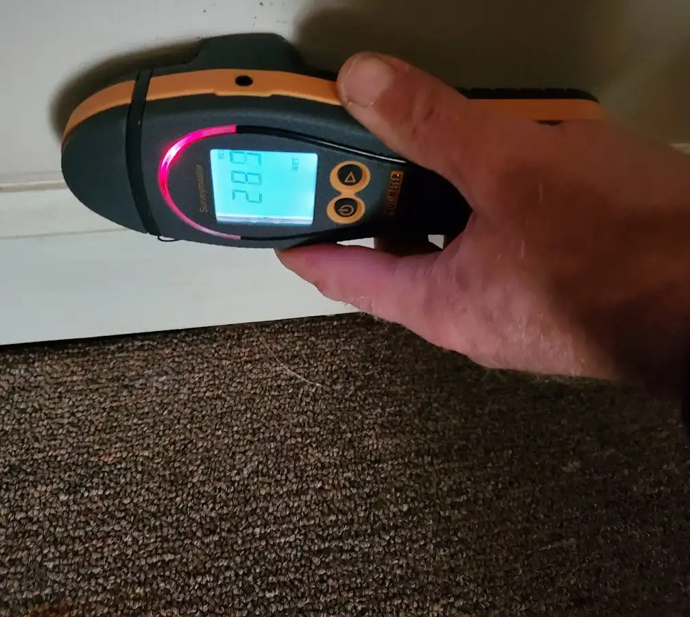 Moisture detection at baseboard during Sewage Cleanup & Sanitation in Troy